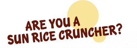 text__bist_du_ein_echter_sun_rice_cruncher-EN-2048x726